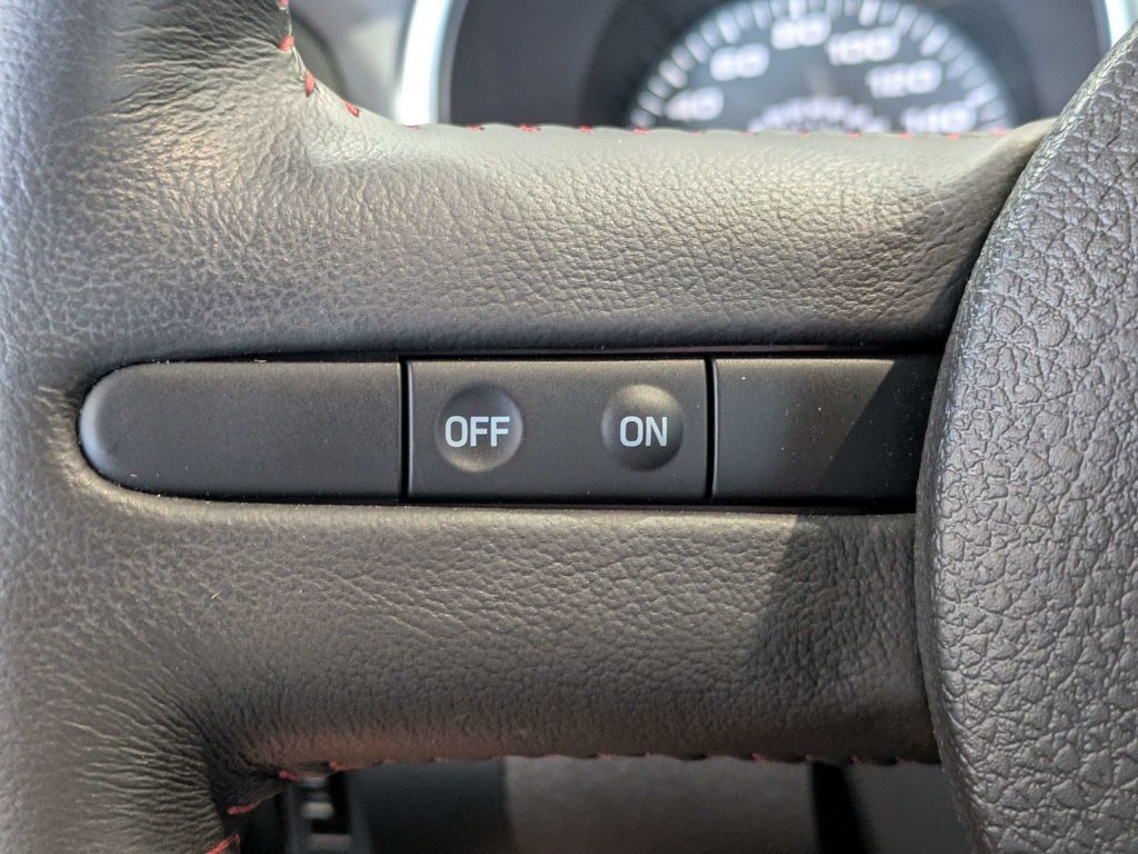 Used 2009 Ford Mustang Shelby GT500 RWD image 25