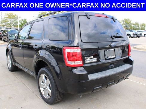 Used 2010 Ford Escape XLT image 5