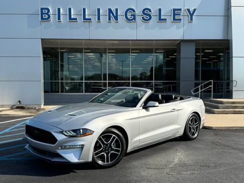 Used 2019 Ford Mustang Premium RWD image 1