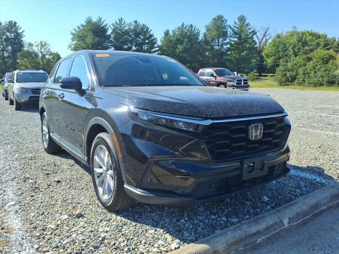 Certified 2025 Honda CR-V EX-L image 13