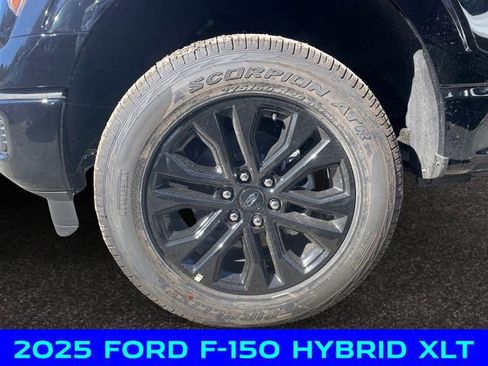 New 2025 Ford F150 XLT w/ Equipment Group 303A High image 14