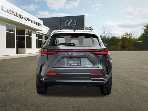 Used 2025 Lexus NX 350h AWD w/ Cold Area Package image 11