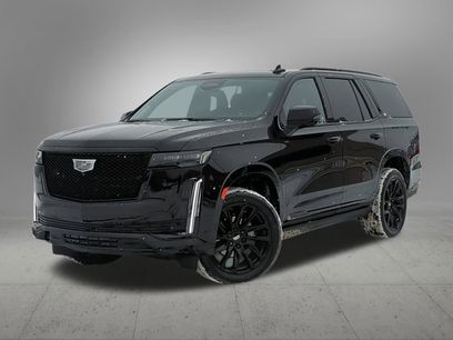 Certified 2024 Cadillac Escalade Sport Platinum w/ LPO, ONYX Package