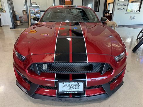 Used 2018 Ford Mustang Shelby GT350 w/ Convenience Package RWD image 7