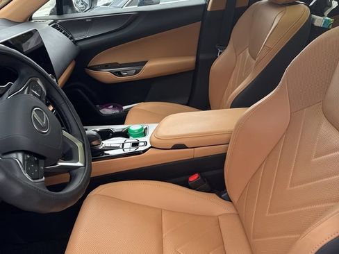 Used 2025 Lexus NX 350h AWD w/ Cold Area Package image 3