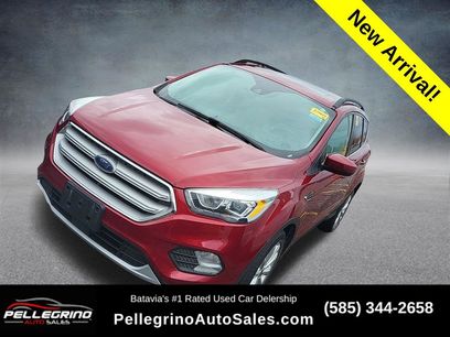 Used 2019 Ford Escape SEL