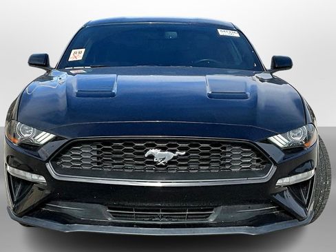 Used 2020 Ford Mustang EcoBoost w/ Equipment Group 101A image 3