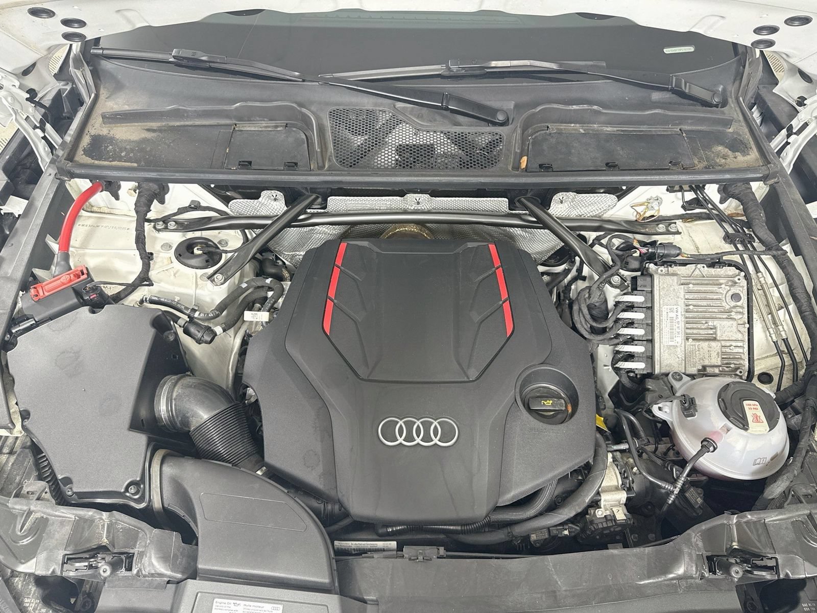 Certified 2023 Audi SQ5 Premium Plus w/ Premium Plus Package AWD/4WD image 29