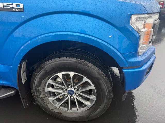 Used 2019 Ford F150 XLT w/ Equipment Group 302A Luxury AWD/4WD image 15