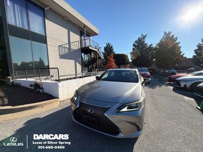 Used 2019 Lexus ES 350 w/ Premium Package
