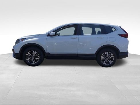 Used 2021 Honda CR-V Special Edition image 7