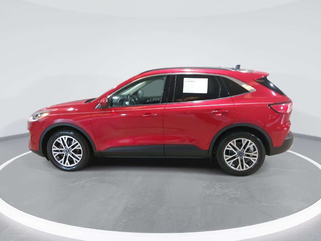 Used 2020 Ford Escape SEL FWD image 8