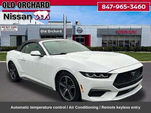 Used 2024 Ford Mustang Premium RWD image 5