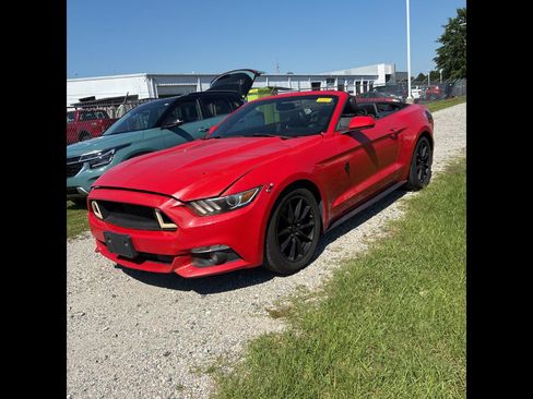 Used 2017 Ford Mustang Premium RWD image 1