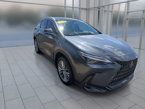 Used 2024 Lexus NX 350h AWD w/ Vision Package image 2