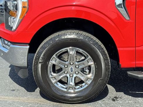 Used 2023 Ford F150 XLT w/ Equipment Group 302A High image 21