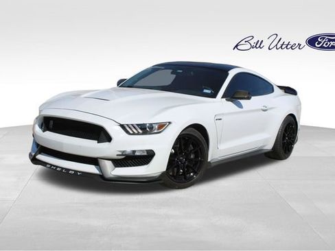 Used 2019 Ford Mustang Shelby GT350 w/ Technology Package image 1