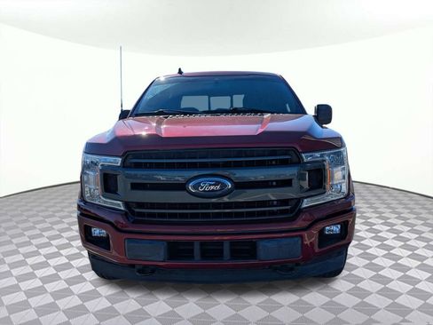 Used 2019 Ford F150 XLT w/ Equipment Group 302A Luxury image 8