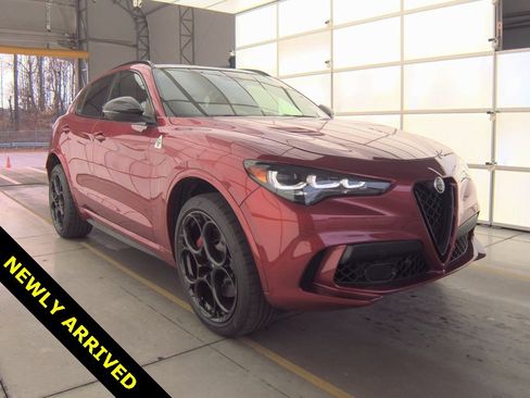 Used 2024 Alfa Romeo Stelvio Quadrifoglio w/ Active Assist Plus Package image 1