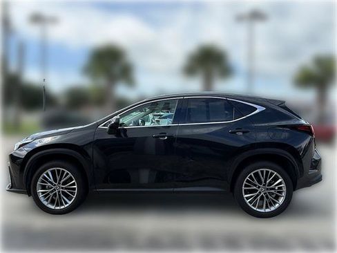 Used 2025 Lexus NX 350 AWD w/ Premium Package image 5
