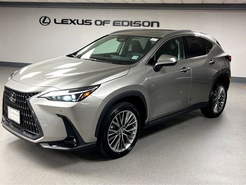 Certified 2026 Lexus NX 350h AWD w/ Cold Area Package image 3