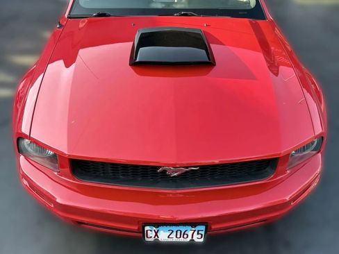 Used 2009 Ford Mustang Premium image 9