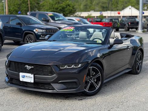 Used 2024 Ford Mustang Premium RWD image 5