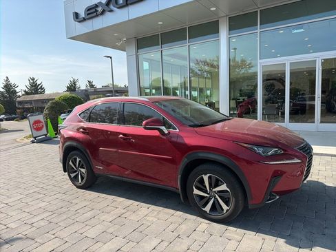 Used 2020 Lexus NX 300h AWD w/ Luxury Package image 5