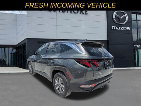 Used 2024 Hyundai Tucson Blue AWD/4WD image 5