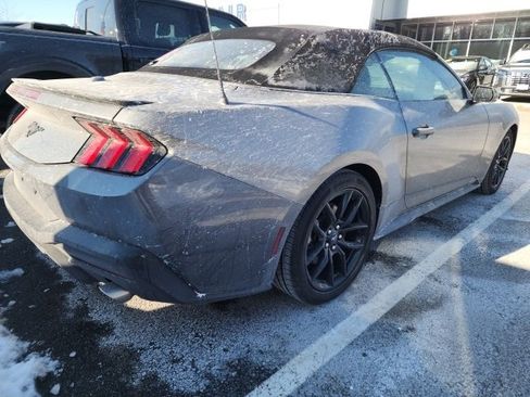 Certified 2025 Ford Mustang Premium image 5