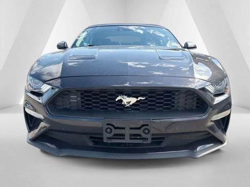 Used 2023 Ford Mustang Premium RWD image 2