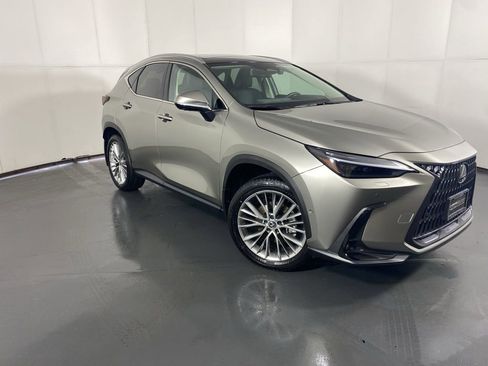 Used 2025 Lexus NX 350 AWD w/ Cold Area Package image 4