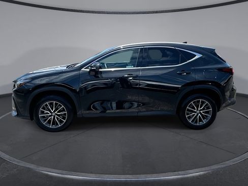 Used 2025 Lexus NX 250 FWD w/ Cold Area Package image 15