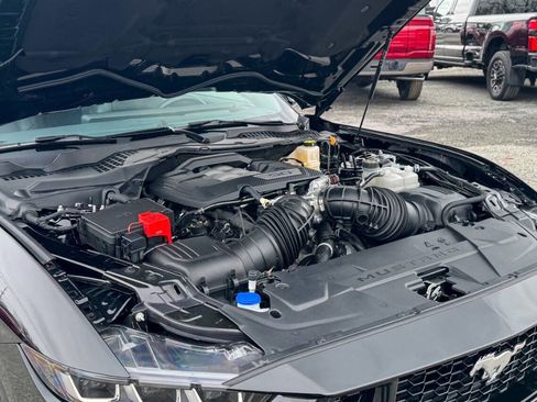 Used 2024 Ford Mustang GT Premium image 35