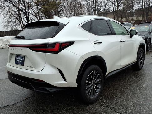 Certified 2024 Lexus NX 250 FWD w/ Cold Area Package image 6