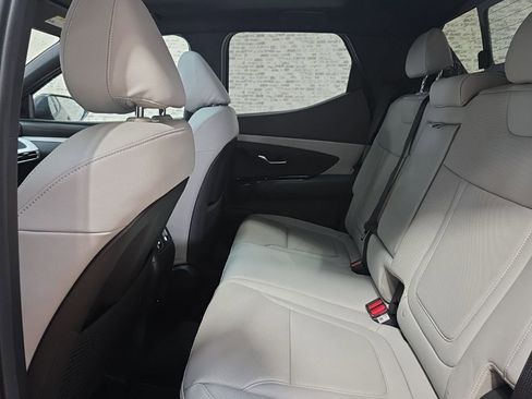 New 2026 Hyundai Santa Cruz Limited image 12