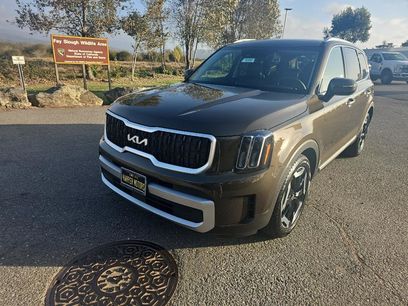 New 2025 Kia Telluride EX