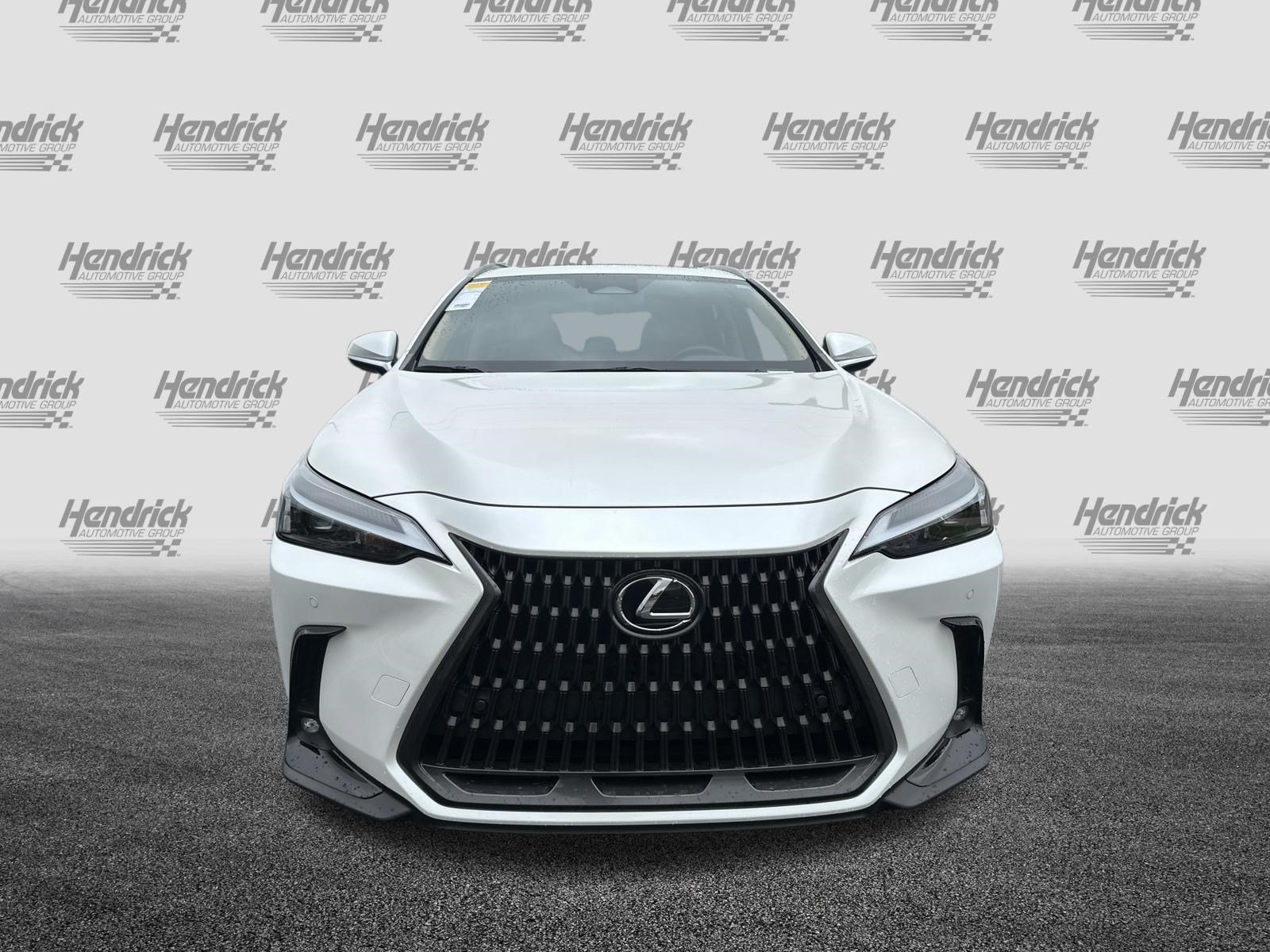 Certified 2024 Lexus NX 350 AWD w/ Cold Area Package image 3