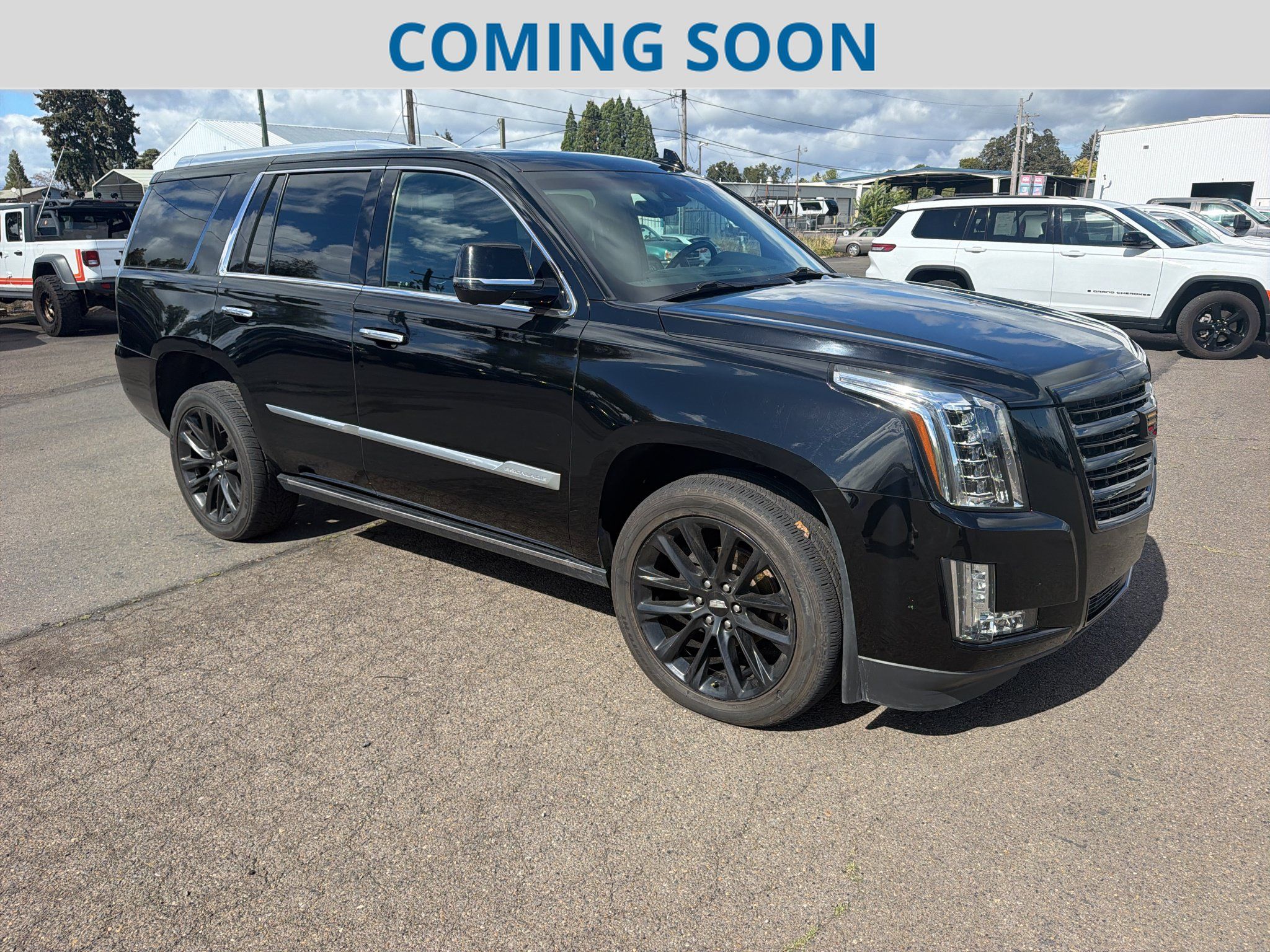 Used 2019 Cadillac Escalade Platinum AWD/4WD image 1