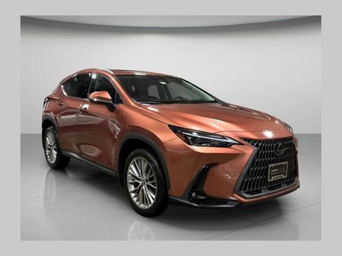 Used 2025 Lexus NX 350h image 1