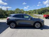 Used 2020 Ford Escape SEL image 6