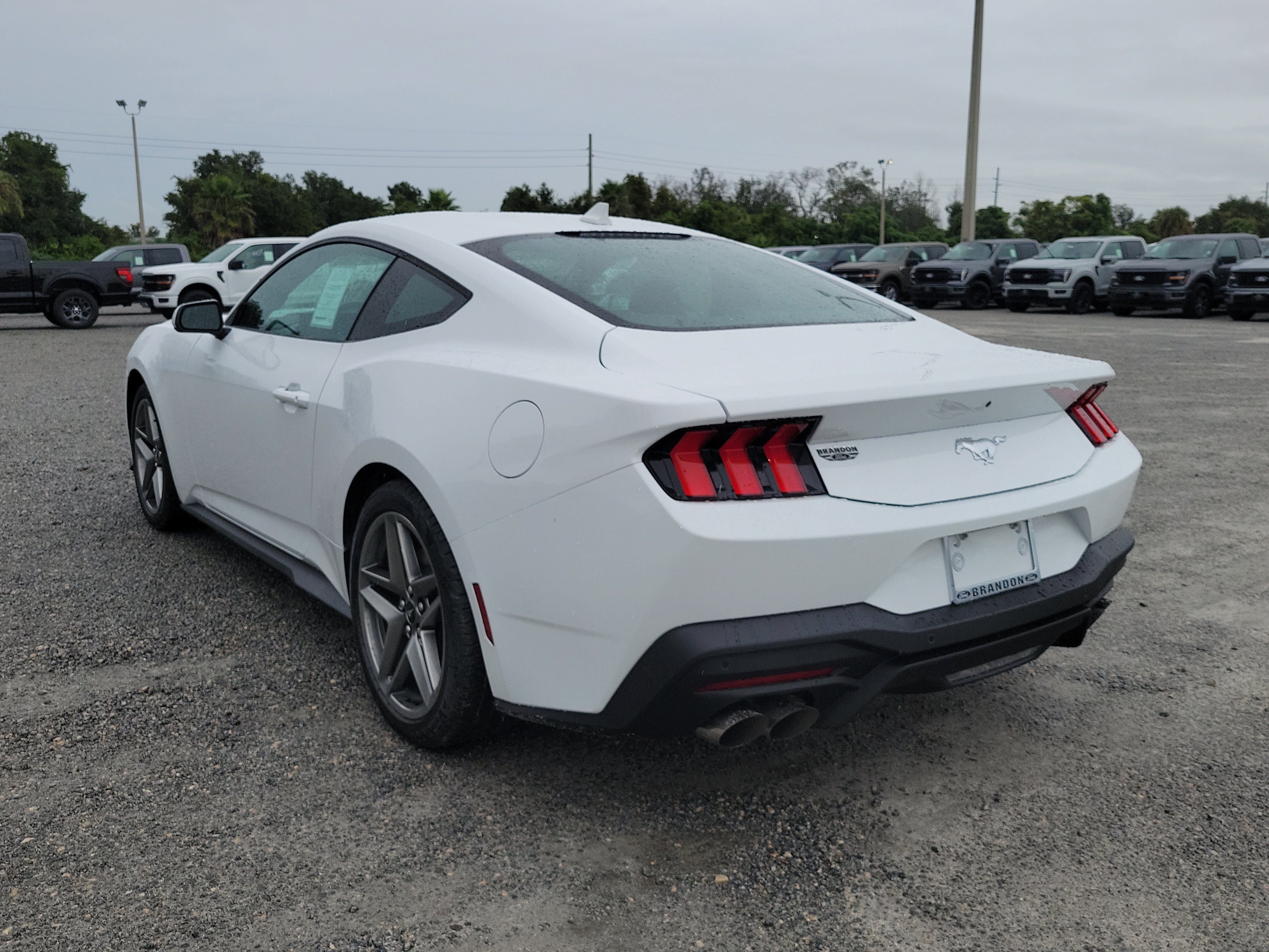 New 2026 Ford Mustang Coupe RWD image 8