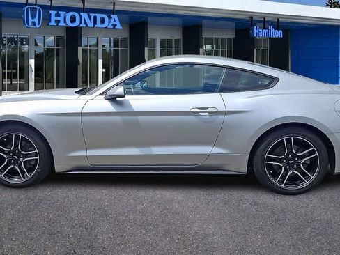 Used 2019 Ford Mustang Premium w/ Equipment Group 201A RWD image 5