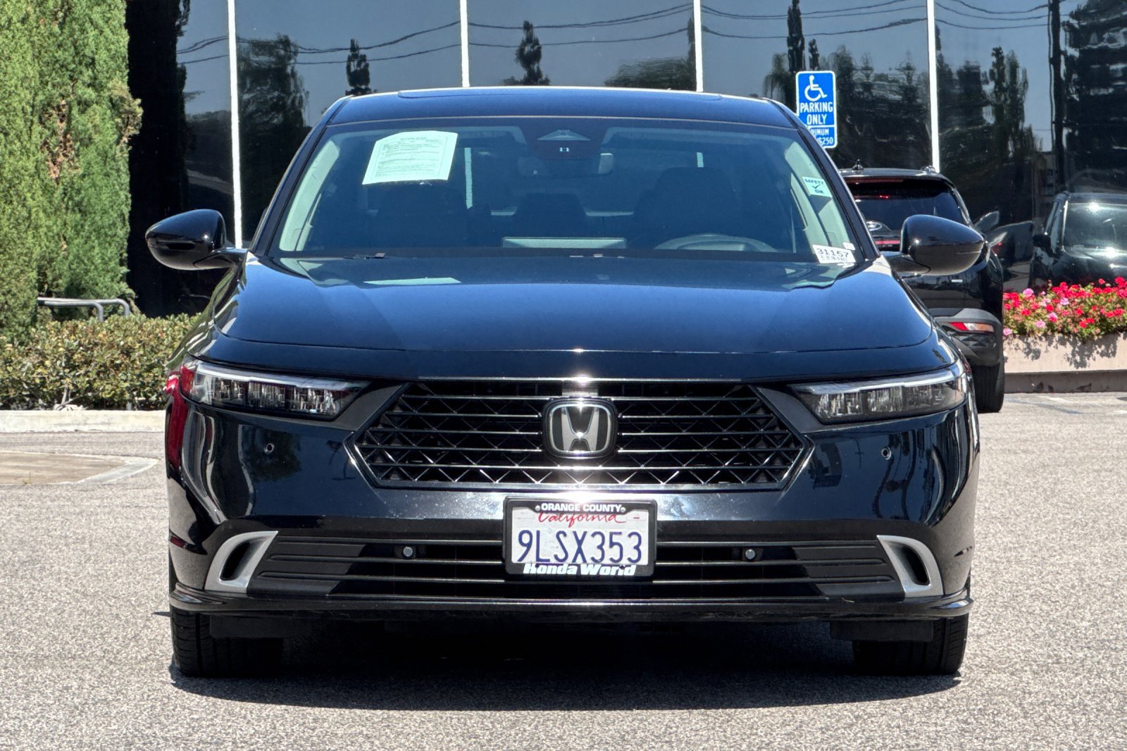 Used 2024 Honda Accord Touring image 9