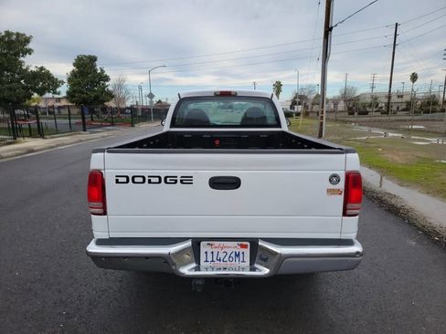 Used 2002 Dodge Dakota SLT image 4