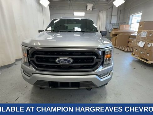 Used 2021 Ford F150 XLT w/ Equipment Group 302A High AWD/4WD image 3