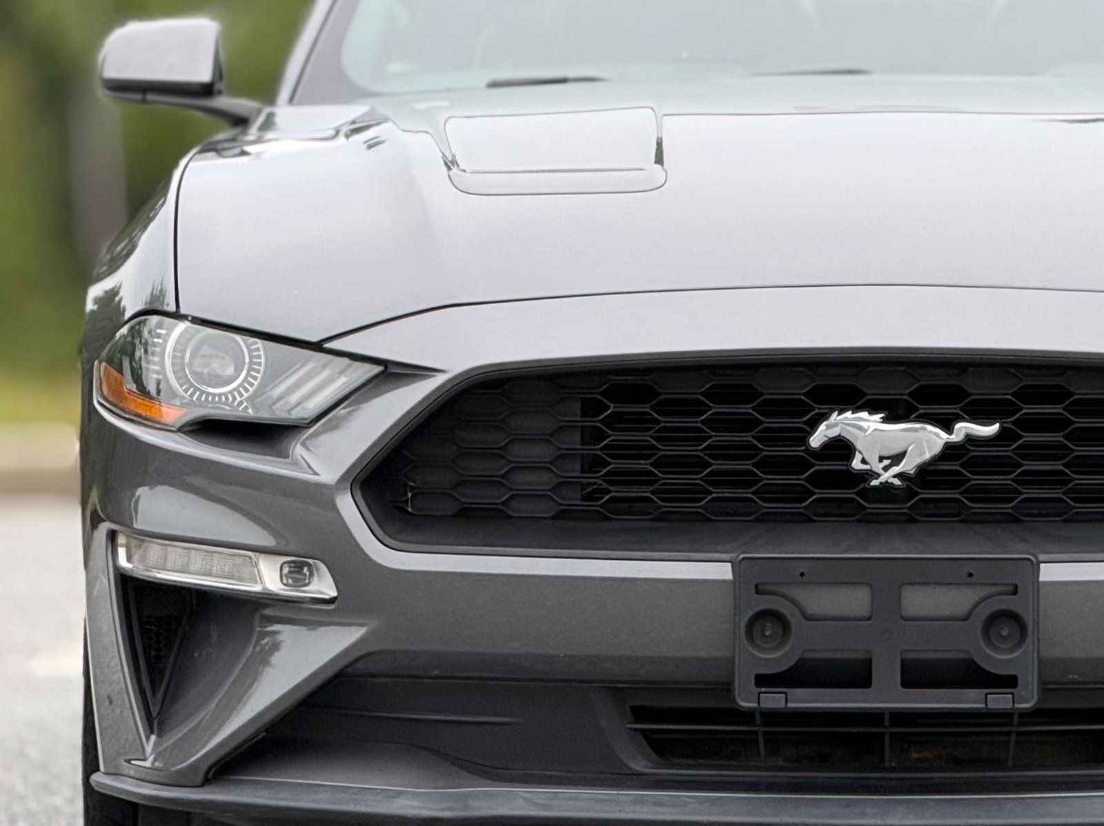 Used 2021 Ford Mustang Premium RWD image 14