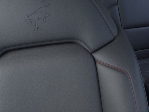 New 2025 Ford Bronco Stroppe Edition image 18