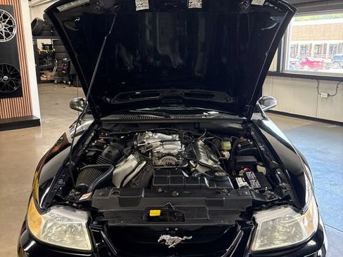 Used 1999 Ford Mustang Cobra RWD image 62