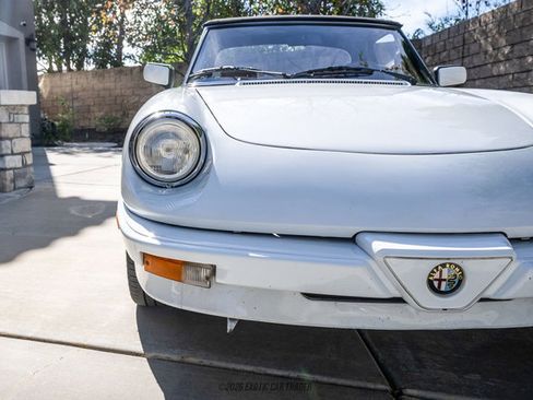 Used 1989 Alfa Romeo Spider Graduate image 57